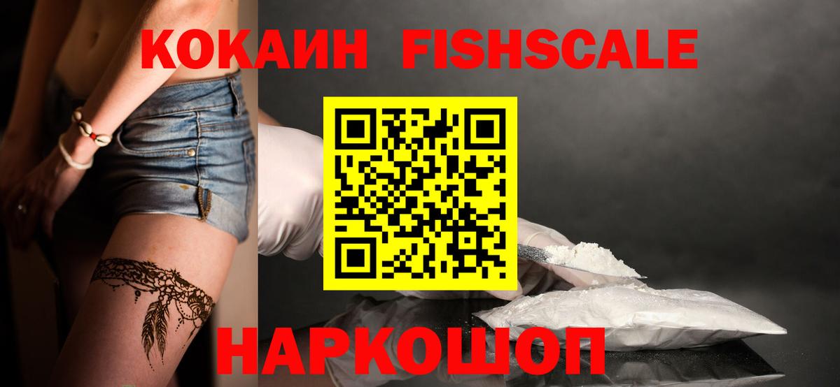COCAIN Fish Scale  Вход с VPN  Находка 