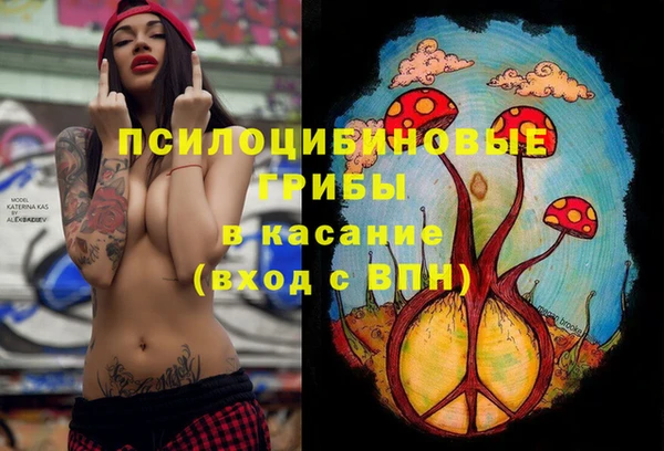 амф Покачи