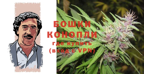 гидра Бородино
