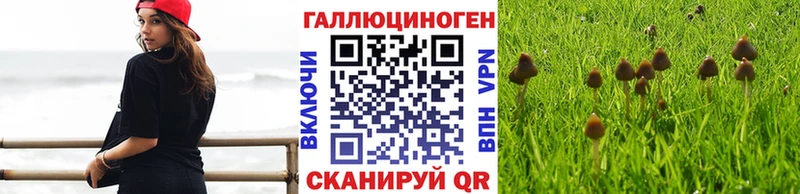 Галлюциногенные грибы MAGIC MUSHROOMS  Находка 