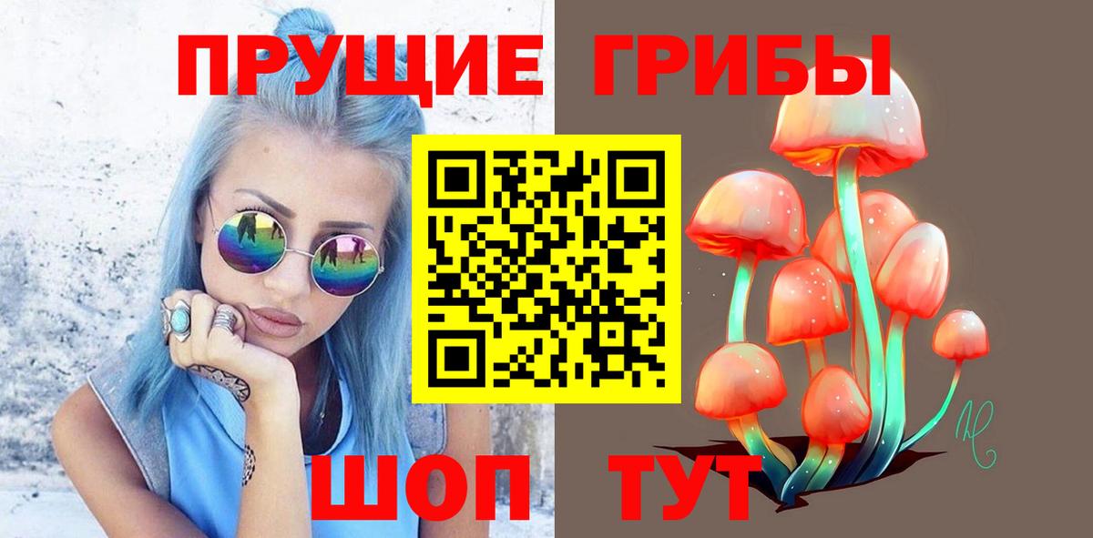 Псилоцибиновые грибы прущие грибы  Псилоцибиновые грибы ЛСД  Вход с VPN  Находка 